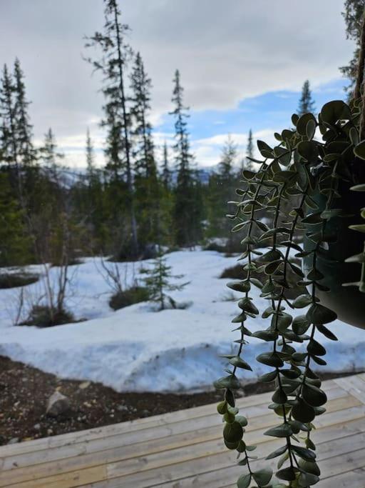 Cozy Mountain Cottage With Beautiful Views & Sauna Beitostolen 外观 照片